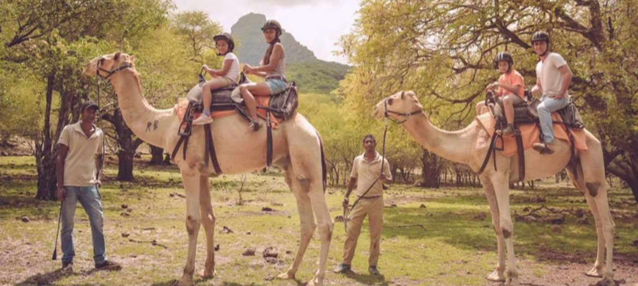 Camel Ride Activities at Casela (West)