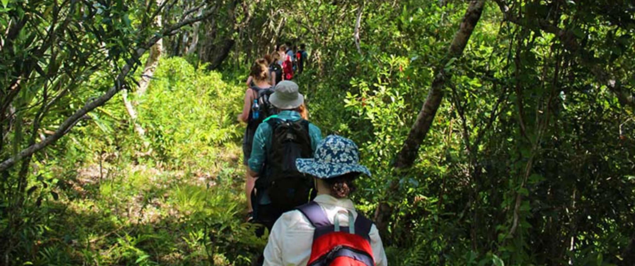 Ebony Forest Discovery (Chamarel)