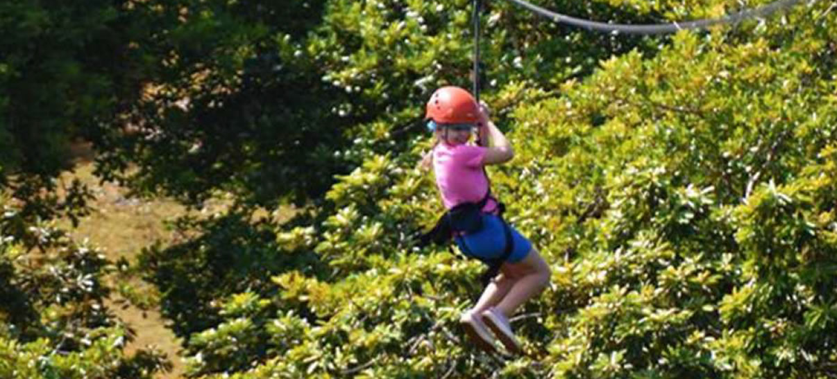 Ziplining & Nepalese Bridge - Lavilleon Adventure Park